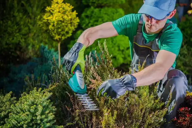 landscaping services Barlow